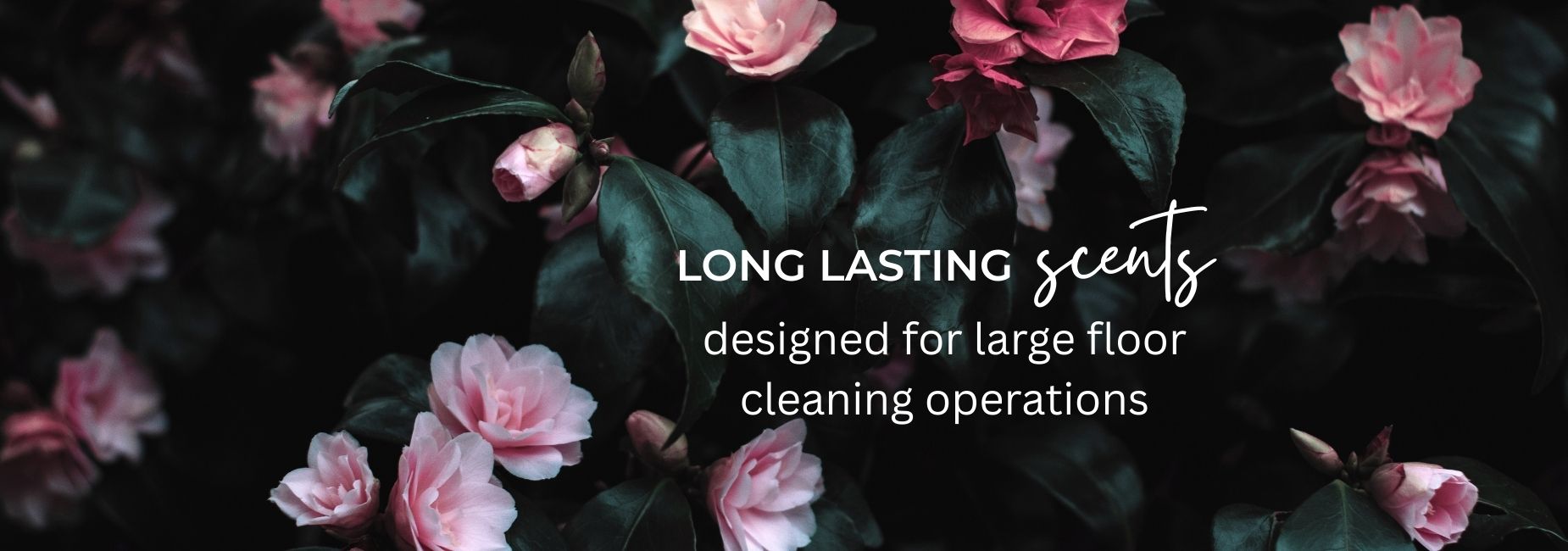 Luxury floor fragrance for hospitality industry