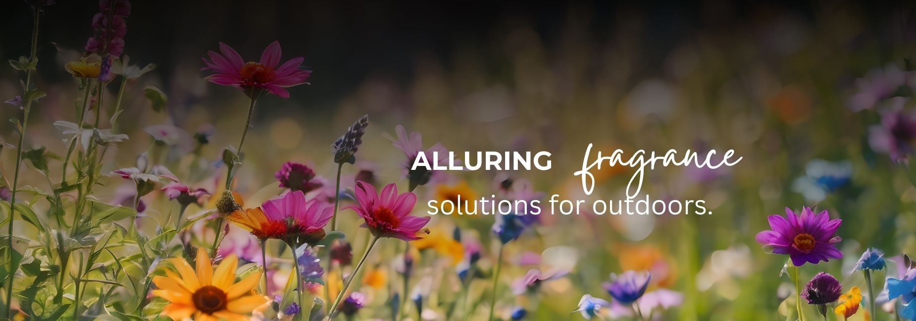 Premium garden fragrance sticks for open spaces